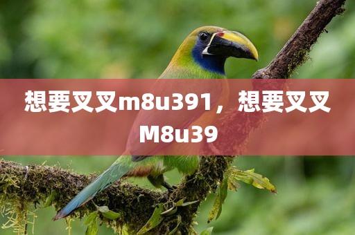 想要叉叉m8u391，想要叉叉M8u39
