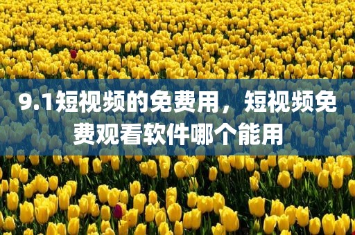 9.1短视频的免费用，短视频免费观看软件哪个能用
