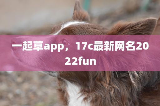 一起草app，17c最新网名2022fun