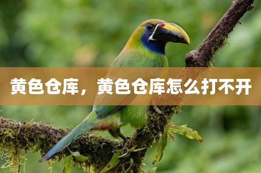 黄色仓库，黄色仓库怎么打不开