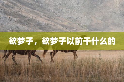 欲梦子，欲梦子以前干什么的