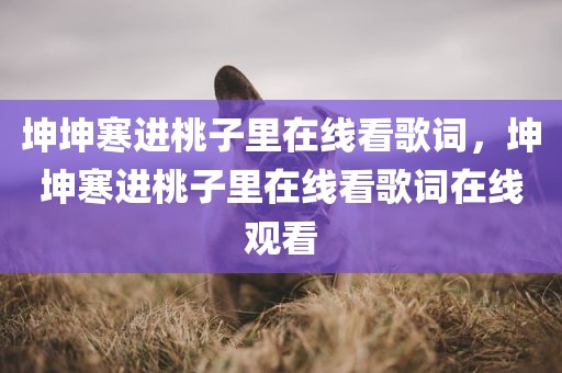坤坤寒进桃子里在线看歌词，坤坤寒进桃子里在线看歌词在线观看