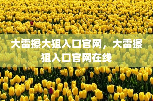 大雷擦大狙入口官网，大雷擦狙入口官网在线