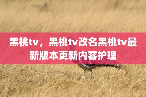 黑桃tv，黑桃tv改名黑桃tv最新版本更新内容护理