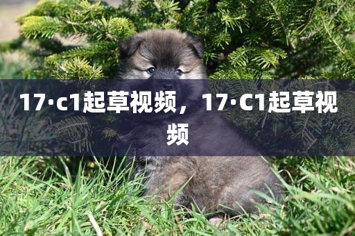 17·c1起草视频，17·C1起草视频