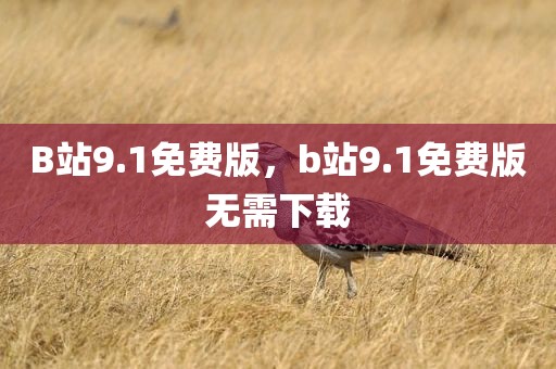 B站9.1免费版，b站9.1免费版无需下载