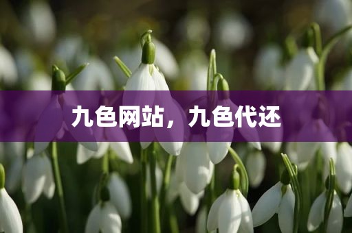 九色网站，九色代还