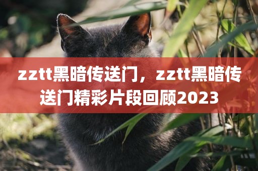 zztt黑暗传送门，zztt黑暗传送门精彩片段回顾2023