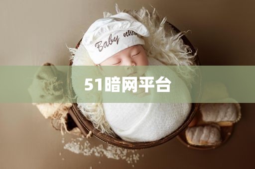 51暗网平台