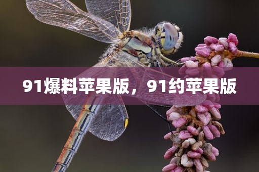 91爆料苹果版，91约苹果版