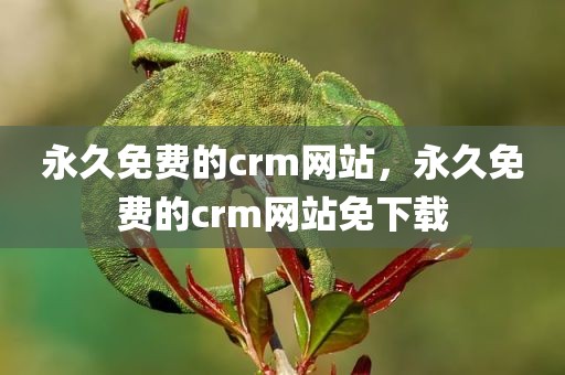永久免费的crm网站，永久免费的crm网站免下载