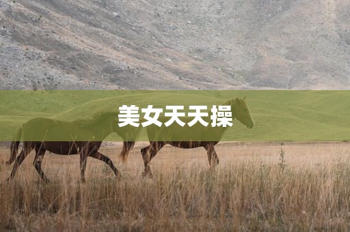 美女天天操
