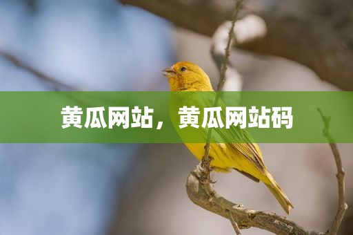 黄瓜网站，黄瓜网站码