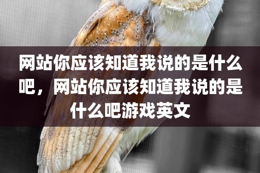 网站你应该知道我说的是什么吧，网站你应该知道我说的是什么吧游戏英文