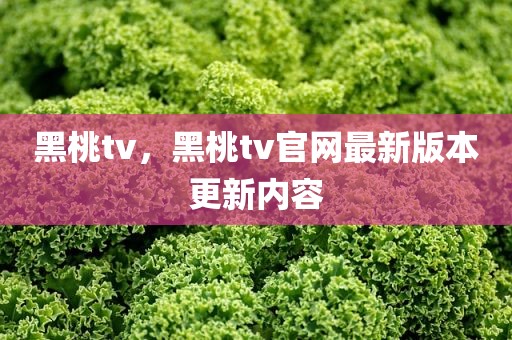黑桃tv，黑桃tv官网最新版本更新内容