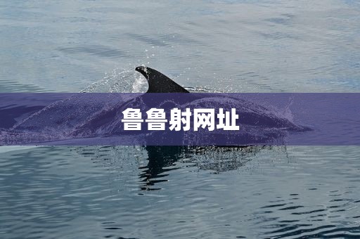鲁鲁射网址