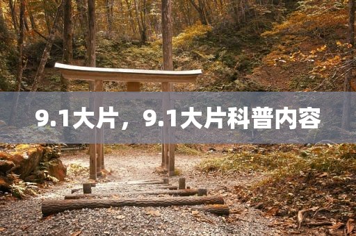 9.1大片，9.1大片科普内容