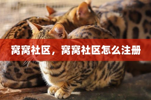 窝窝社区，窝窝社区怎么注册