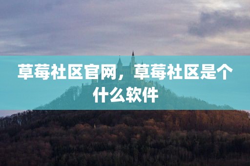 草莓社区官网，草莓社区是个什么软件