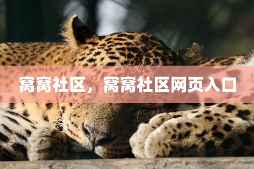 窝窝社区，窝窝社区网页入口