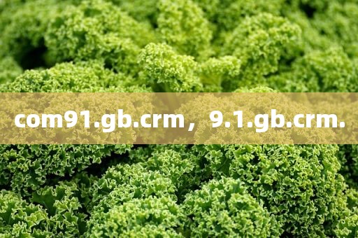 com91.gb.crm，9.1.gb.crm.