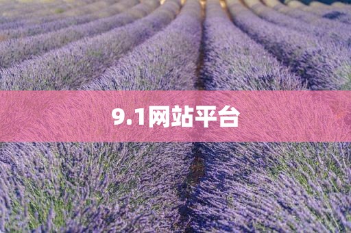 9.1网站平台