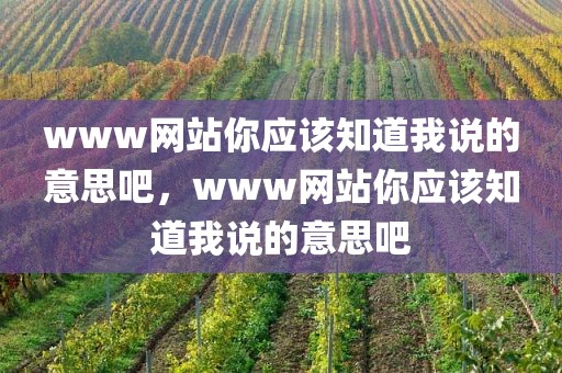 www网站你应该知道我说的意思吧，www网站你应该知道我说的意思吧