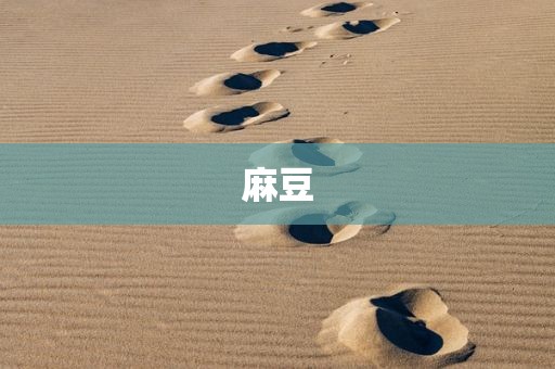 麻豆