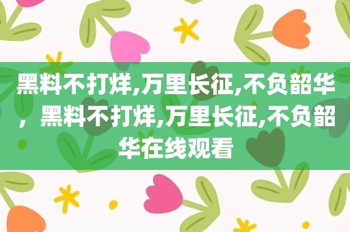 黑料不打烊,万里长征,不负韶华，黑料不打烊,万里长征,不负韶华在线观看