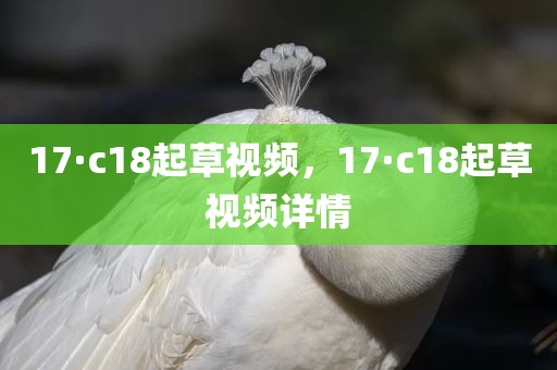 17·c18起草视频，17·c18起草视频详情