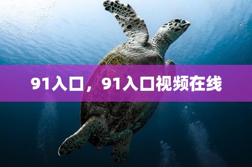 91入口，91入口视频在线