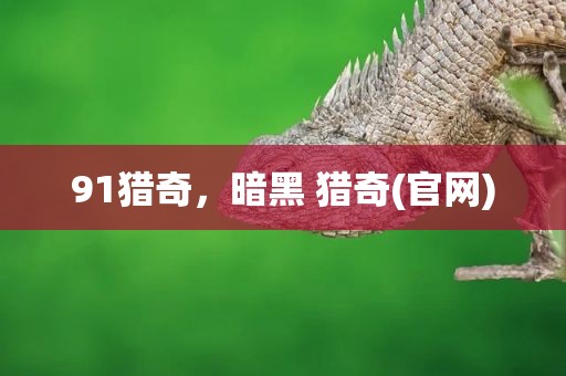91猎奇，暗黑 猎奇(官网)