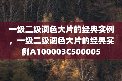 一级二级调色大片的经典实例，一级二级调色大片的经典实例A100003C500005