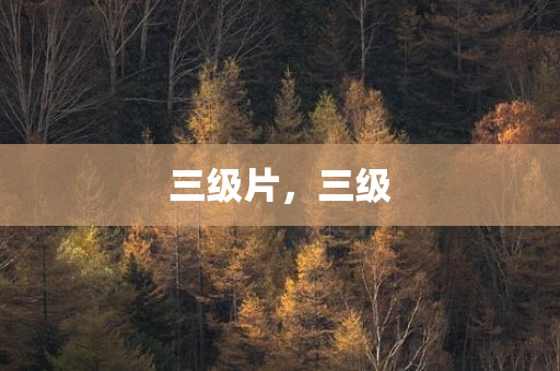 三级片，三级