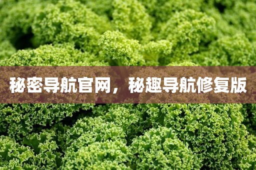 秘密导航官网，秘趣导航修复版