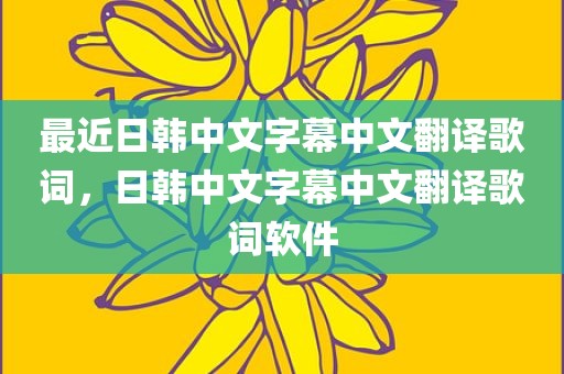最近日韩中文字幕中文翻译歌词，日韩中文字幕中文翻译歌词软件