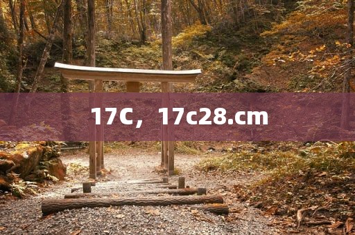 17C，17c28.cm