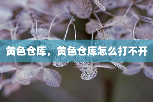 黄色仓库，黄色仓库怎么打不开