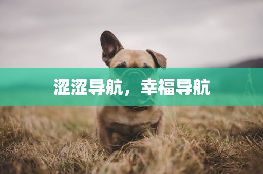 涩涩导航，幸福导航