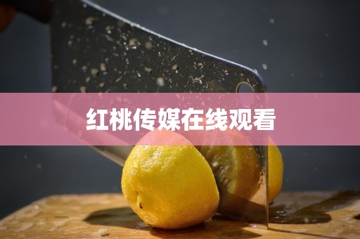 红桃传媒在线观看