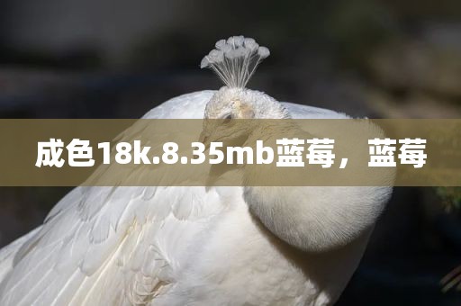 成色18k.8.35mb蓝莓，蓝莓