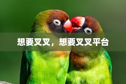 想要叉叉，想要叉叉平台