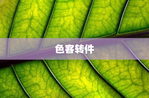 色客转件