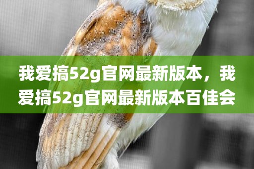我爱搞52g官网最新版本，我爱搞52g官网最新版本百佳会