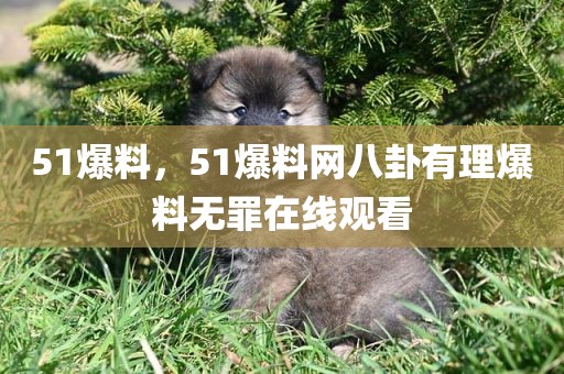 51爆料，51爆料网八卦有理爆料无罪在线观看