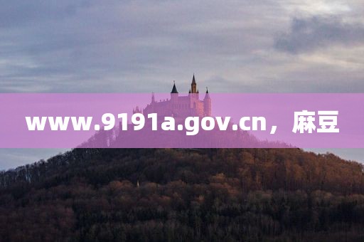 www.9191a.gov.cn，麻豆