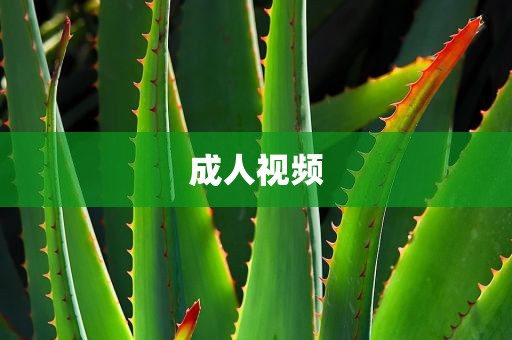 成人视频