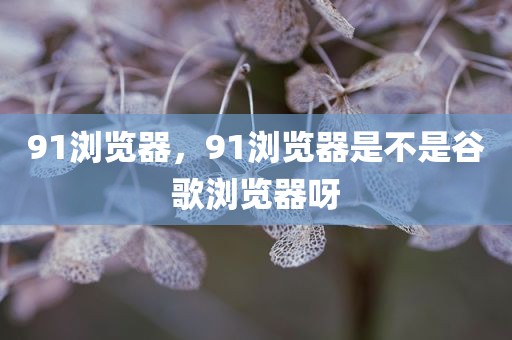 91浏览器，91浏览器是不是谷歌浏览器呀