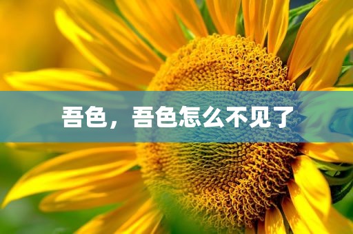 吾色，吾色怎么不见了