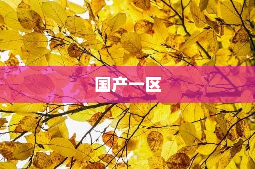 国产一区